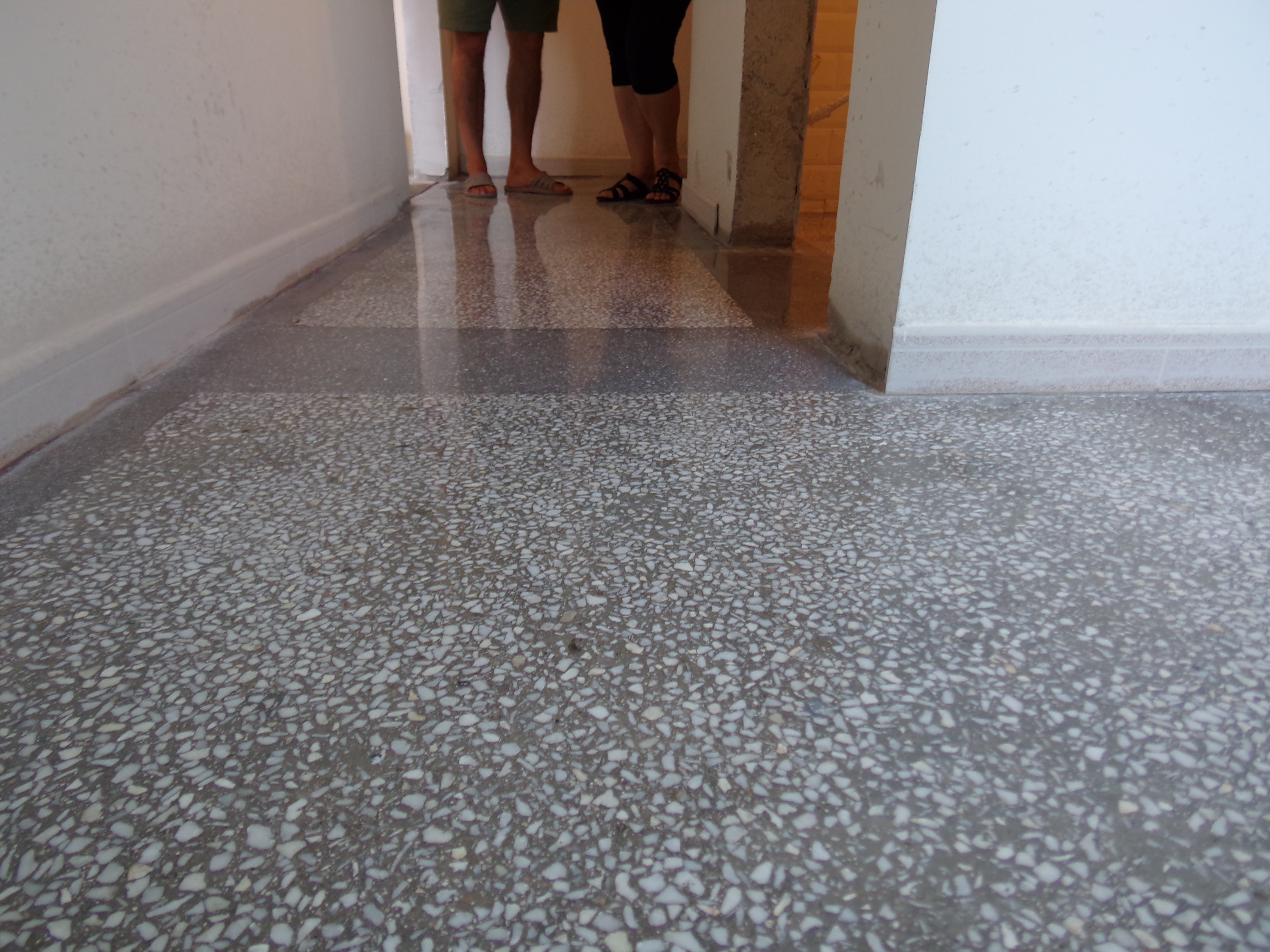 KODAK Digital Still Camera